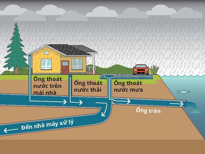 Sơ đồ hệ thống cống rãnh mới ngăn ngừa ngập lụt