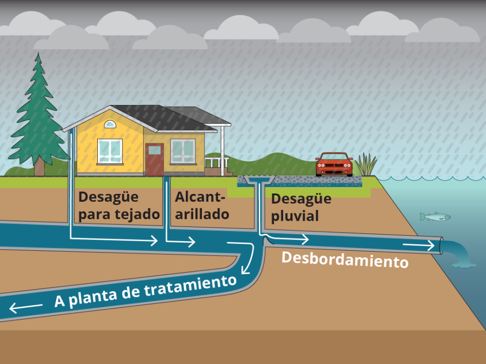 Infografía que muestra las aguas residuales que fluyen directamente a un emisario