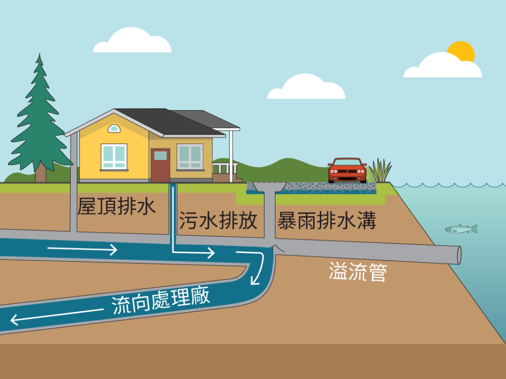 Diagram of combined sewer overflow system