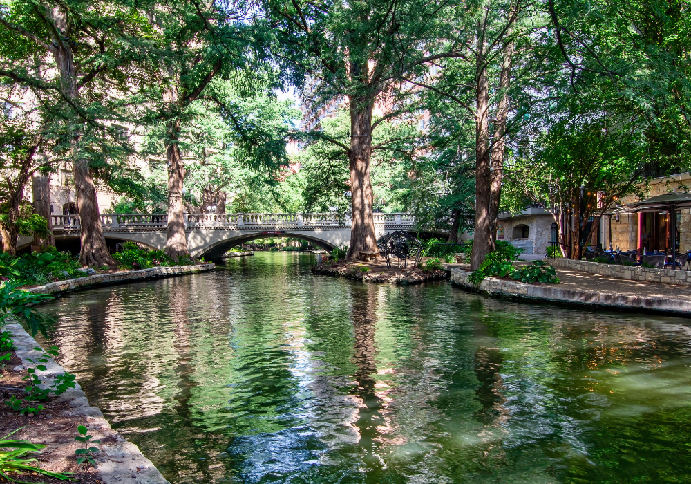 Large cypress trees providing shade over the river in downtown San Antonio with a pedestrian bridge in the background