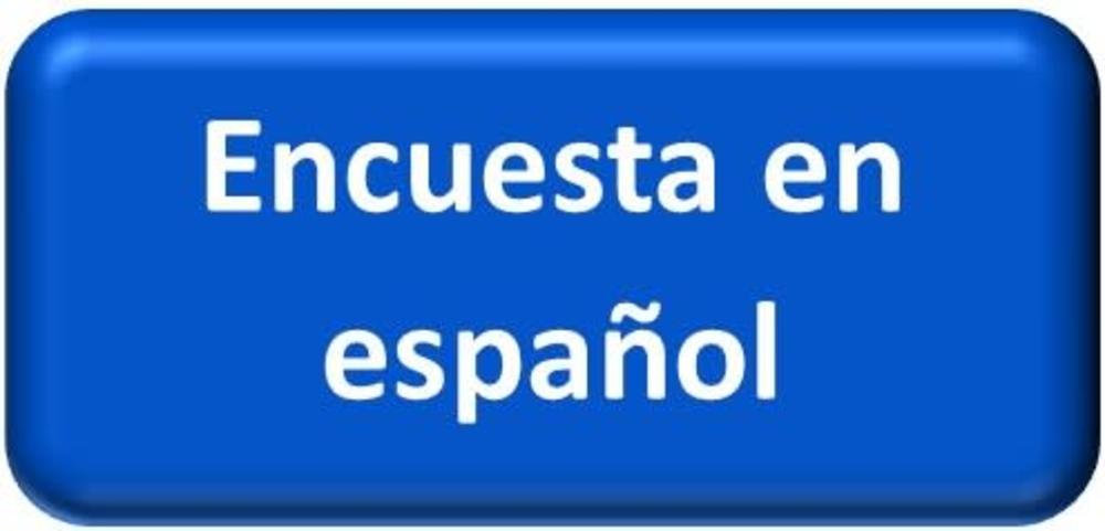 Survey in Spanish