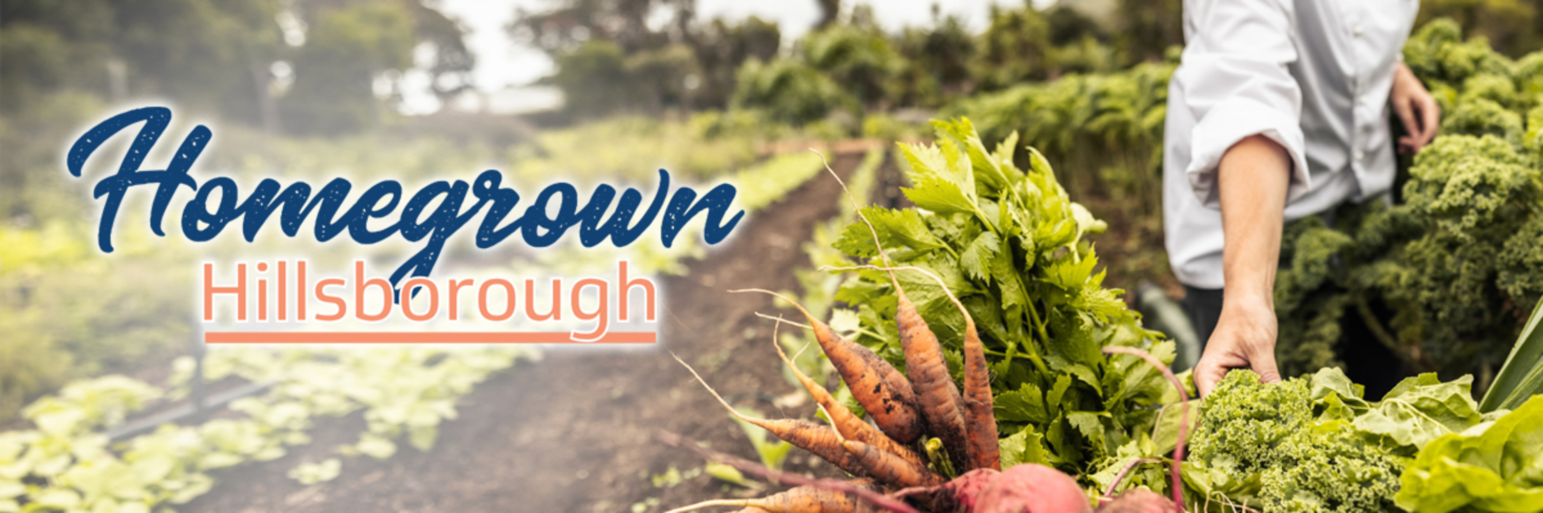 homegrown-hillsborough-residential-food-system-survey-publicinput