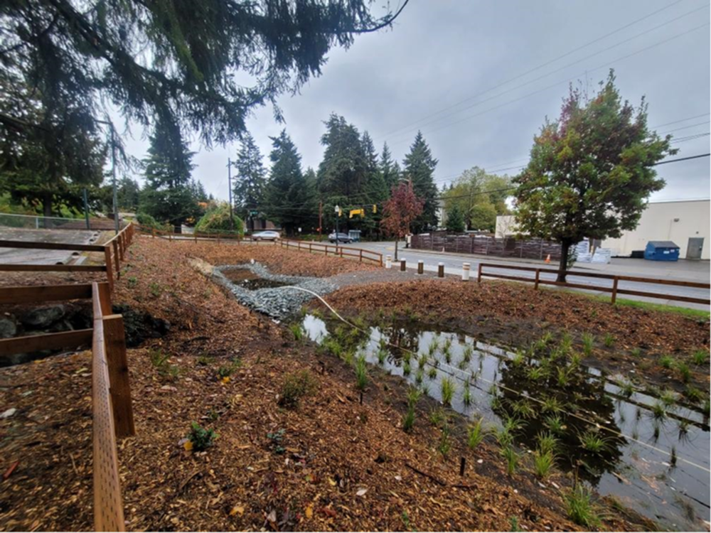 An image of a stormwater pond near a road in Burien, Washington