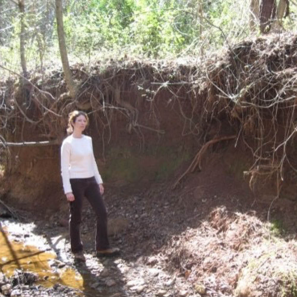 A person showing how much a stream has eroded by the height of the stream banks. 