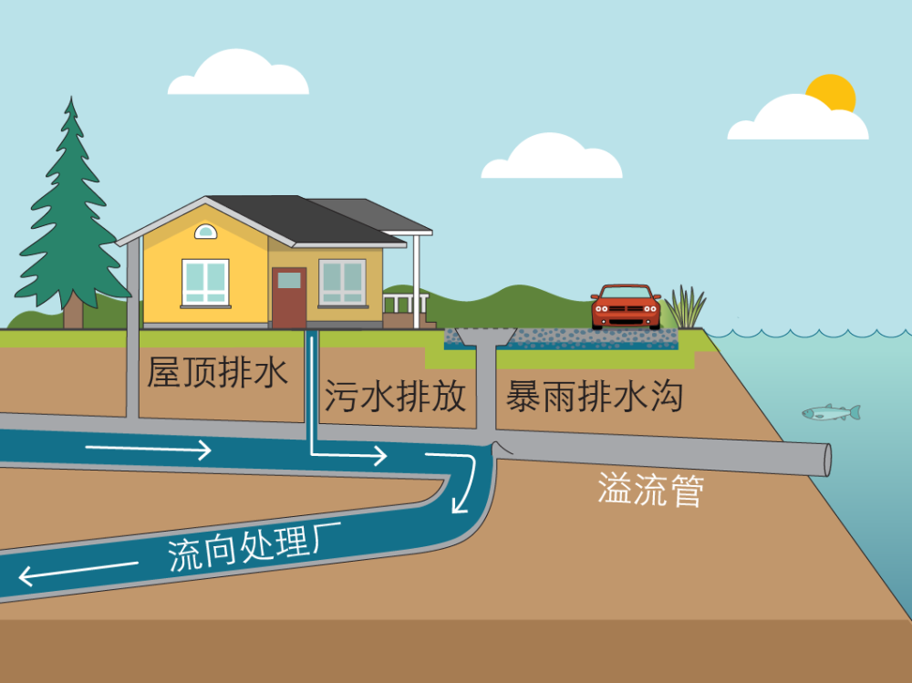 Diagram of combined sewer overflow system