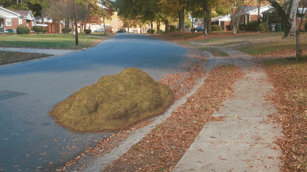 GIF of yard waste in the street.