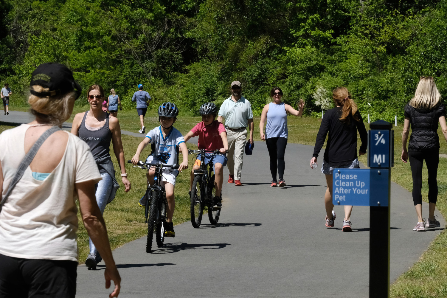 Featured image for Briar/Little Hope Creek Greenway
