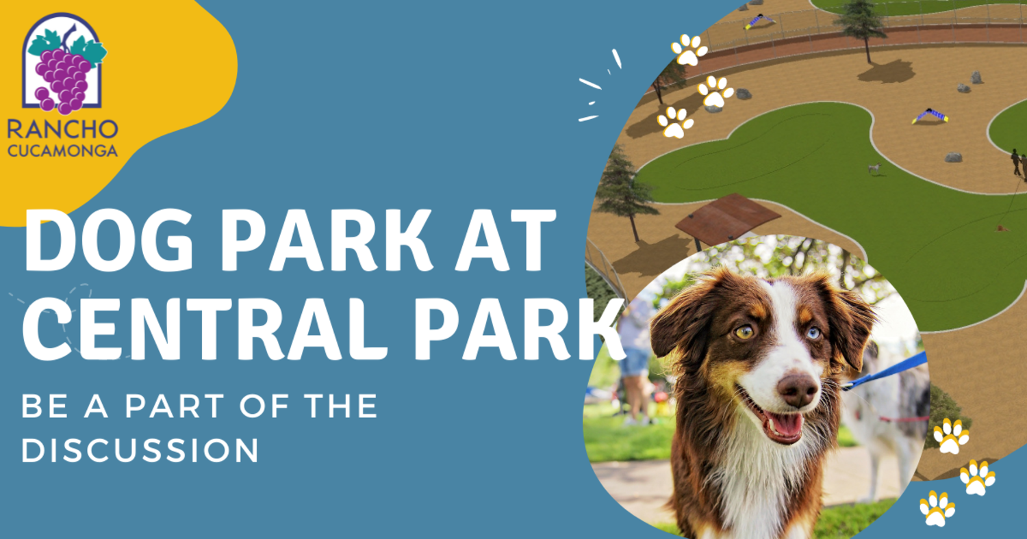Featured image for Dog Park at Central Park