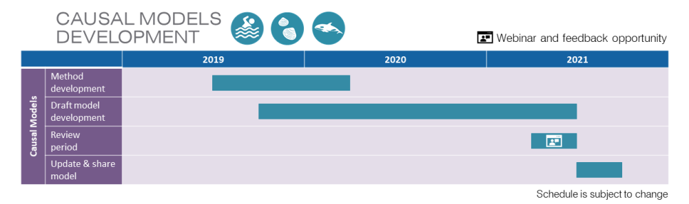 Timeline showing the development milestones for King County WQBE causal models for algal toxins, fecals at swimming beaches and shellfish beds, and orcas. Method Development from mid-2019 to mid-2020. Draft model development from late-2019 to early-2021. Review period, including a webinar and feedback opportunity, in early 2021. Update and share model from mid- to late 2021.