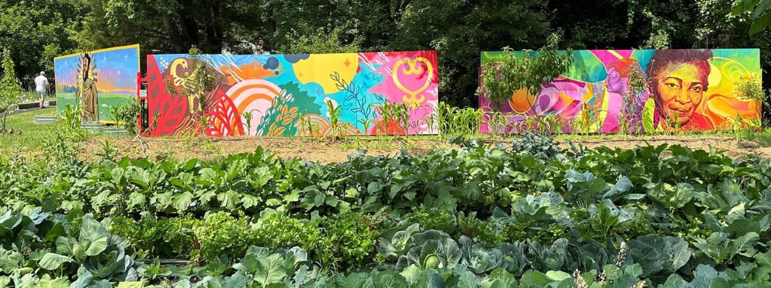 Featured image for Amay James Urban Agriculture Park