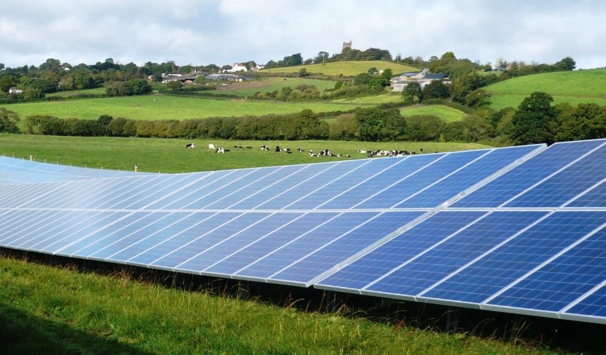 Featured image for Solar Farm Regulations