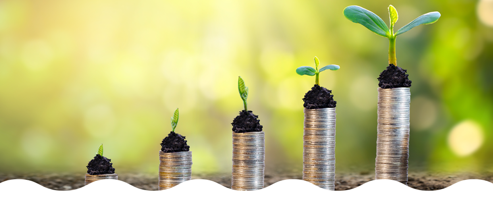 five different stacks of coins at different heights with budding plants at the top of each stack