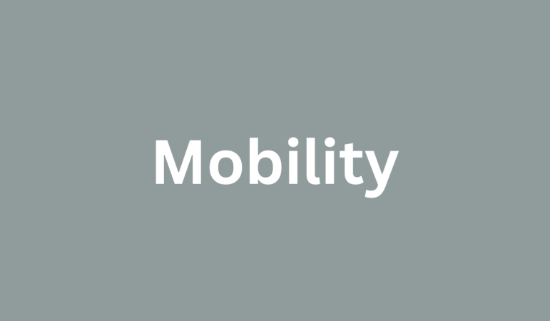 Mobility (how far you can go)