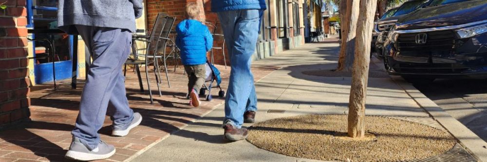 tree pilot program in downtown Menlo Park