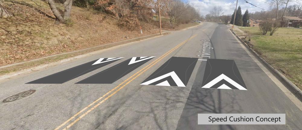 digital simulation of speed cushions along the roadway