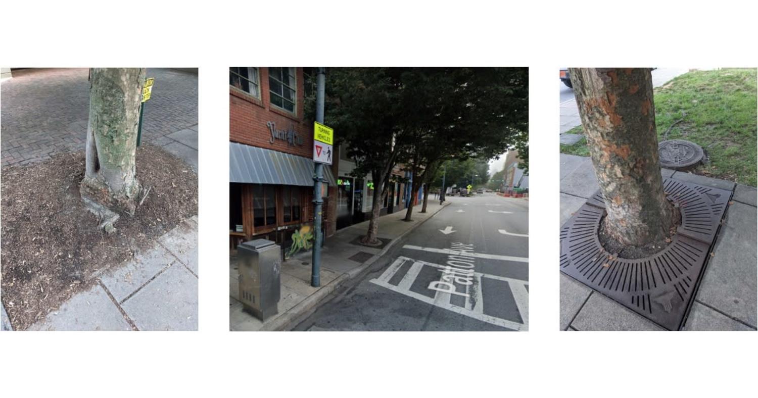 Featured image for Patton Ave Sidewalk Accessibility Improvements