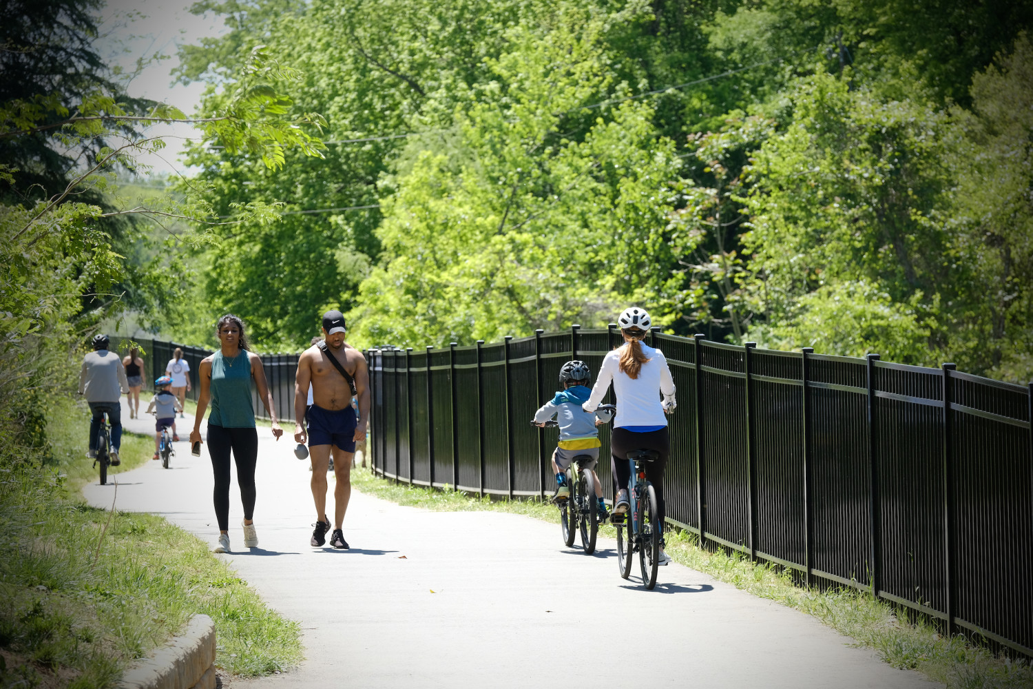 Featured image for Briar Creek Greenway: Central to Monroe