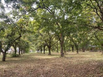 Tillery Neighborhood Park Survey 3 Pop-Up in the Park