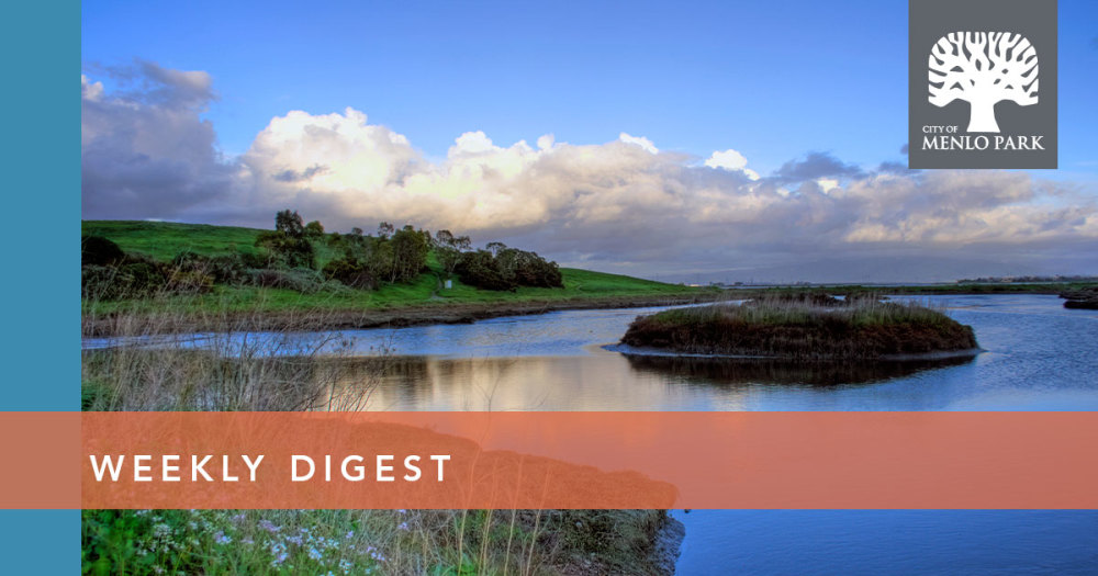 Weekly Digest banner image - Bedwell Bayfront Park waterfront