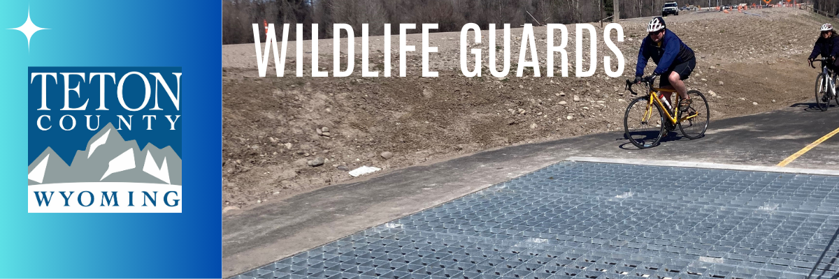 Featured image for Wildlife Crossings Cattleguard