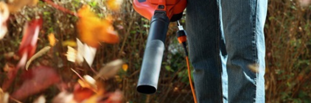 Person holding electric leaf blower blowing leaves