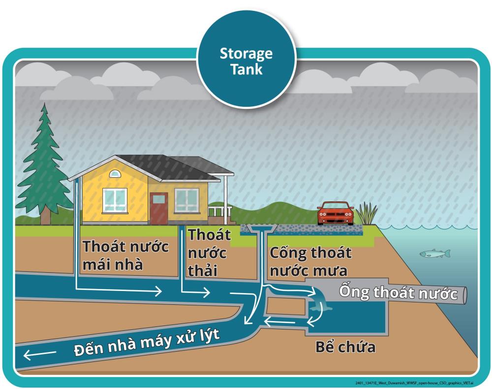 Hình minh họa cho hệ thống cống thoát nước kết hợp của chúng tôi vào ngày mưa, cho thấy một ngôi nhà và các đường ống dẫn nước thải và nước mưa tới bể chứa giữ lại nước cho đến khi có thể dẫn tới nhà máy xử lý