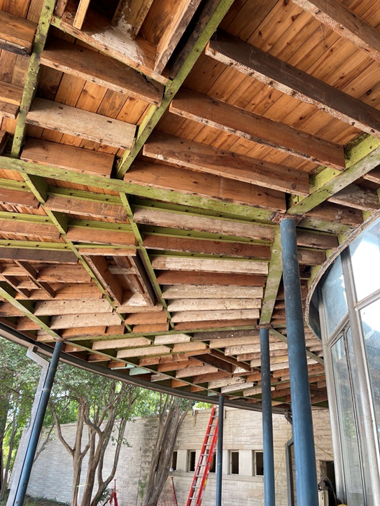 Current photo of rotunda canopy ceiling showing original wood blocking for plaster ceiling and framing for inset lighting, which will be restored.