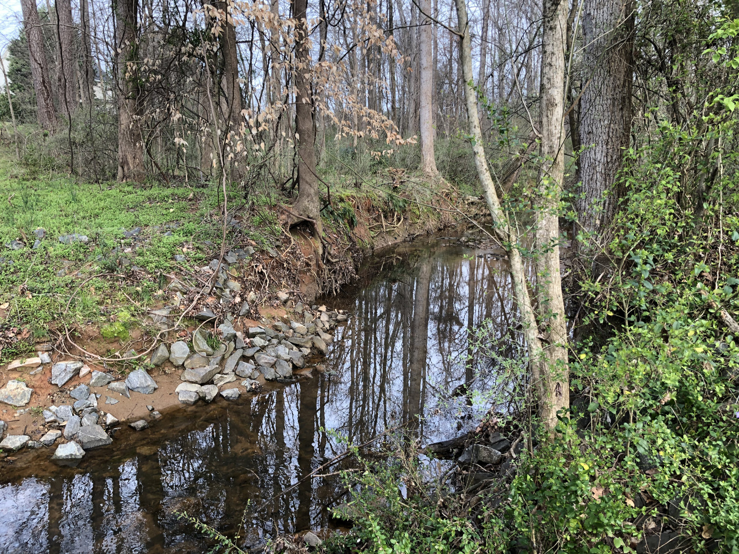 Featured image for Clarks Creek Greenway Planning Study