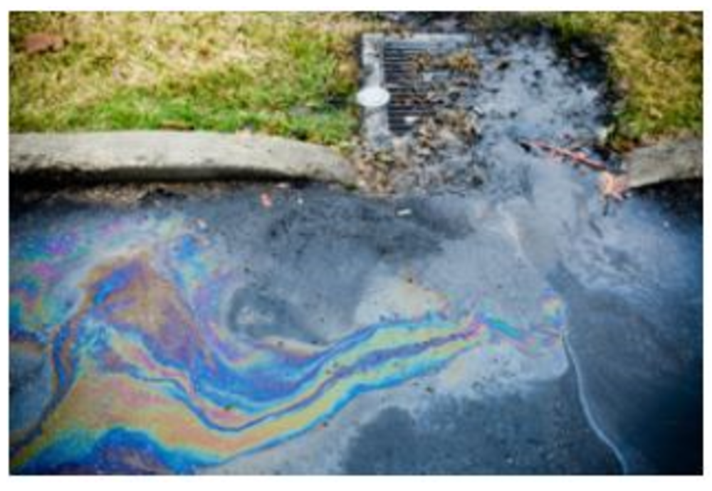 Image of water with oily sheen going into a storm drain.