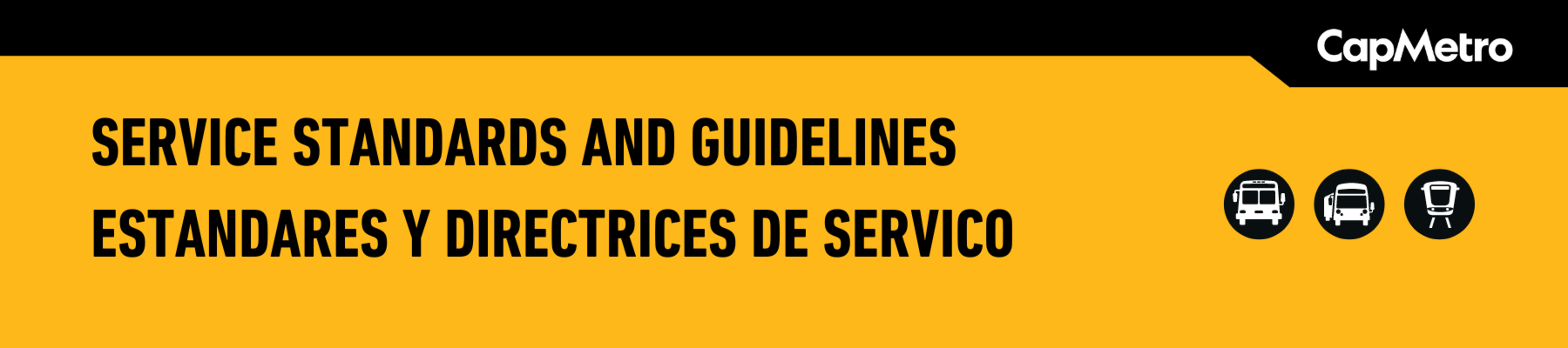 service-standards-and-guidelines-update-publicinput