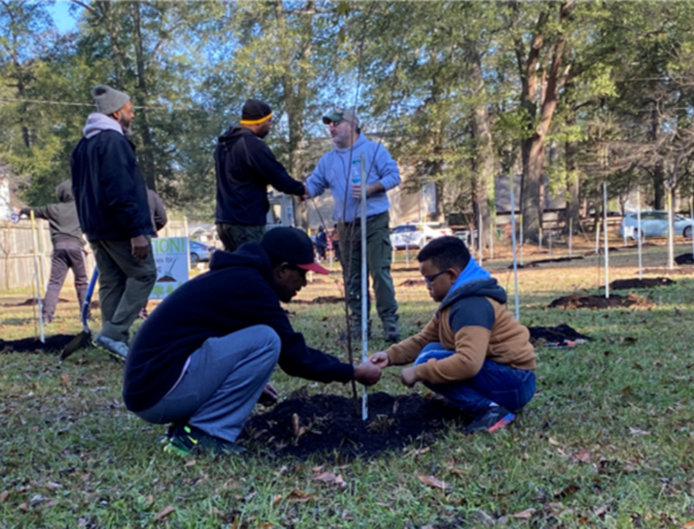 People planting trees.