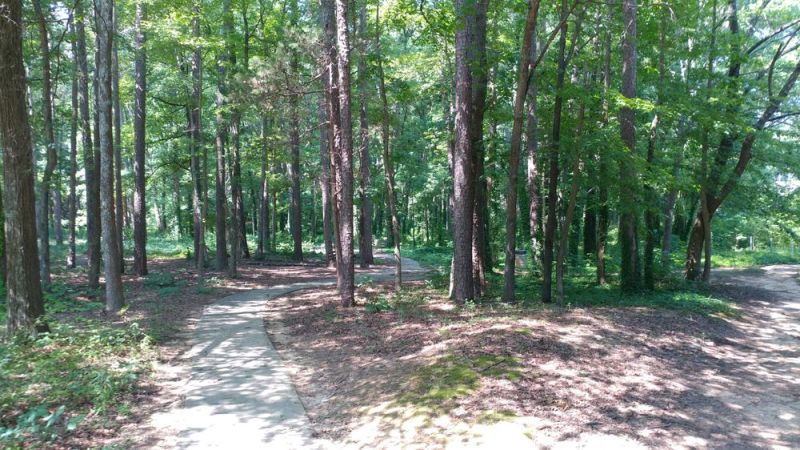 trail inside Albemarle Park