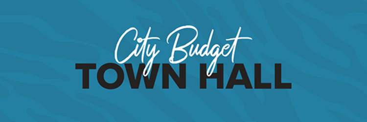 District 2 City Budget Town Hall 