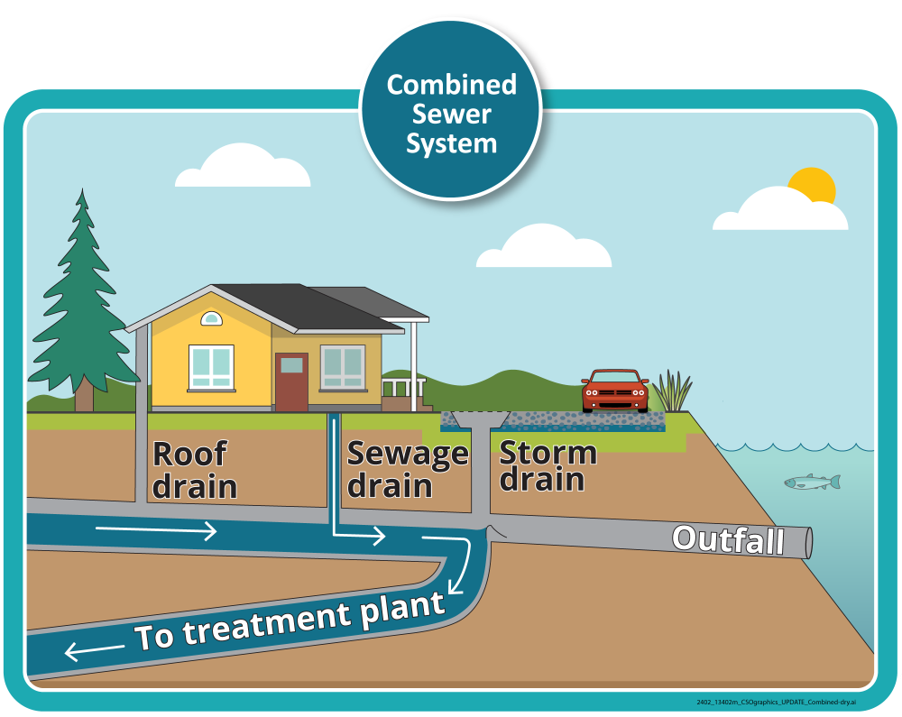 how sewer water and stormwater come from house pipes, roofs, and storm drains into one single pipe that goes to a treatment plant