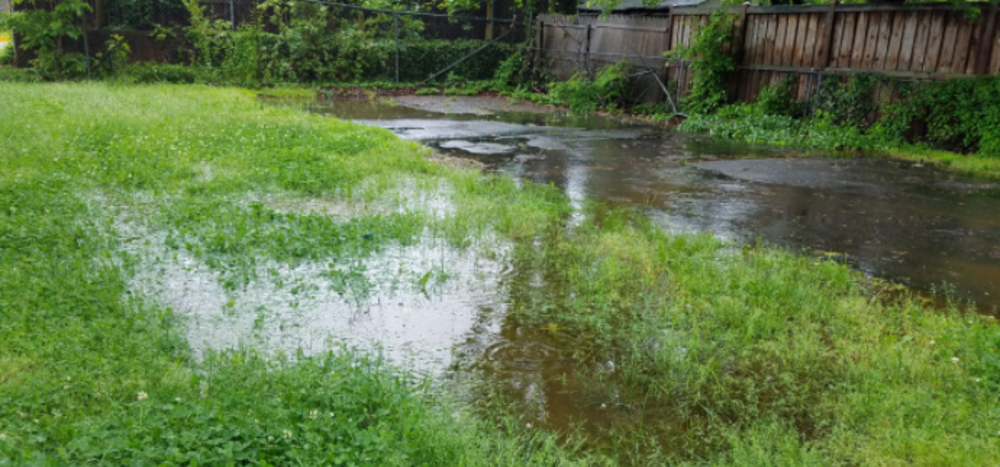 Photo of stormwater ponding in a field.