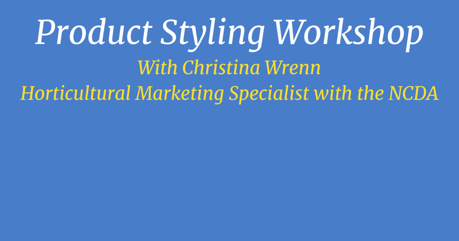 Featured image for Product Styling Workshop