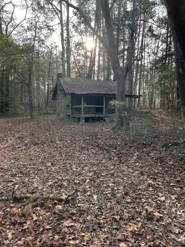 Image of log cabin in the woods in the winter, with sun peeking through the trees. 