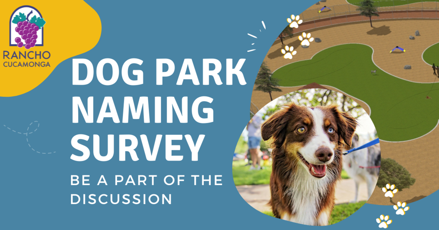 Featured image for Dog Park Naming Survey