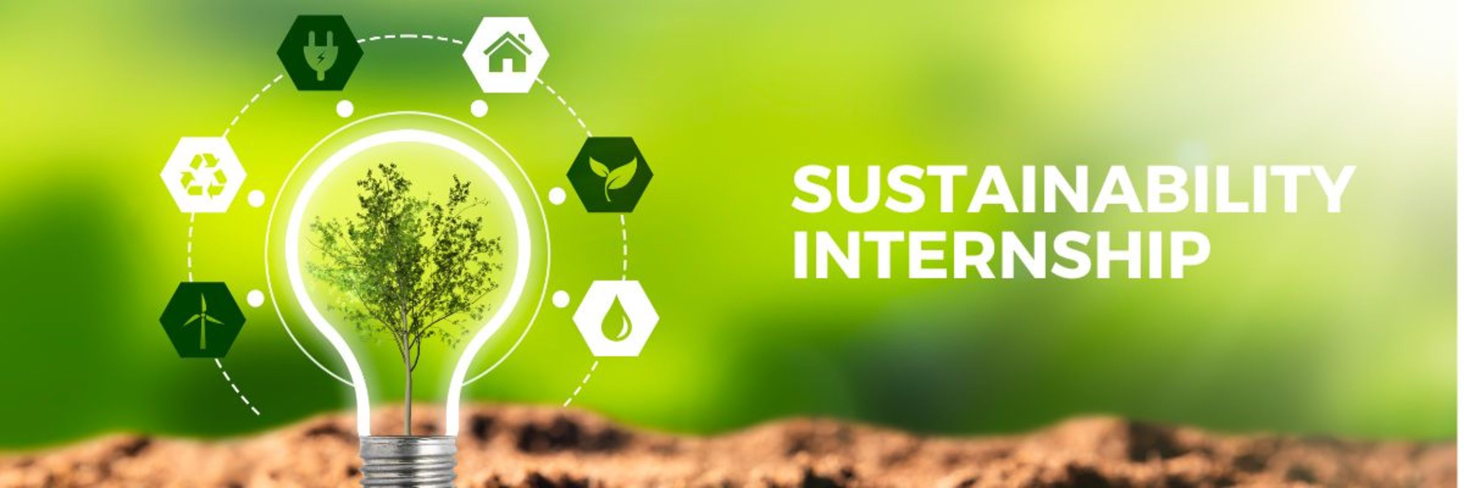 Sustainability Planning Internship PublicInput