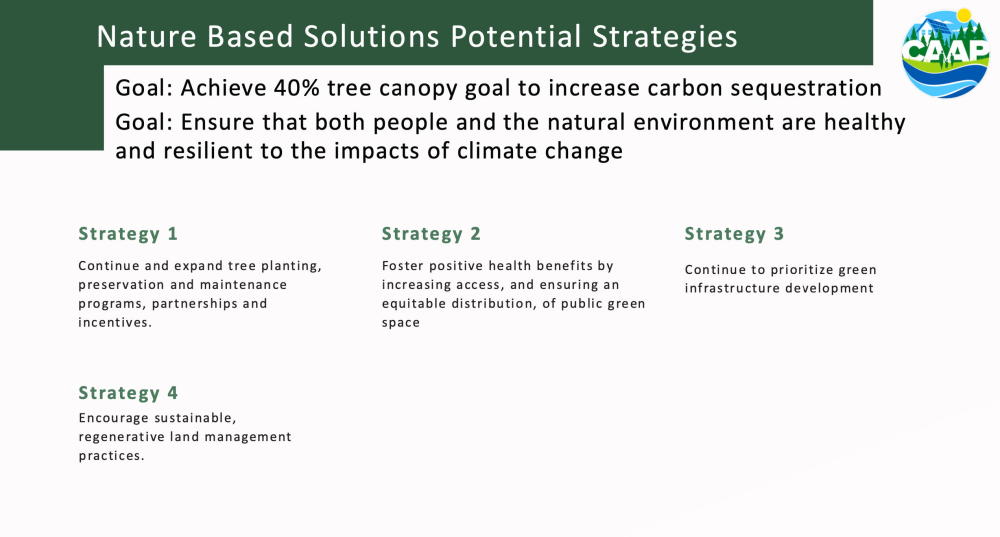 nature potential strategies