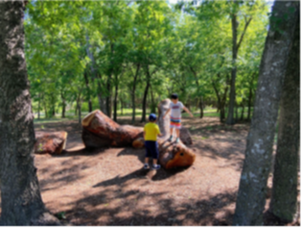 Image shows children balancing on a large log as a nature play element.