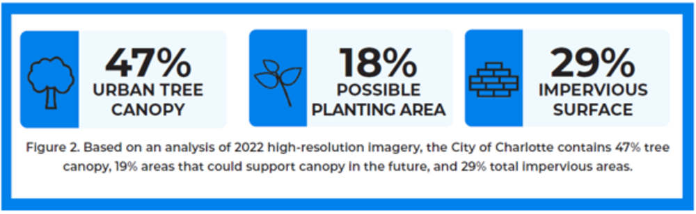 2022 Canopy Analysis 2.0