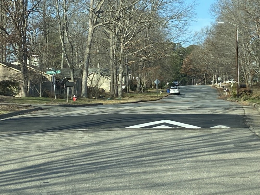 Brandywine Speed Hump