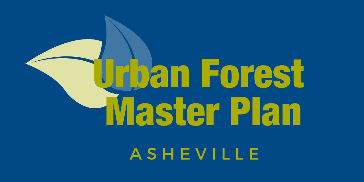 Featured image for Urban Forest Master Plan