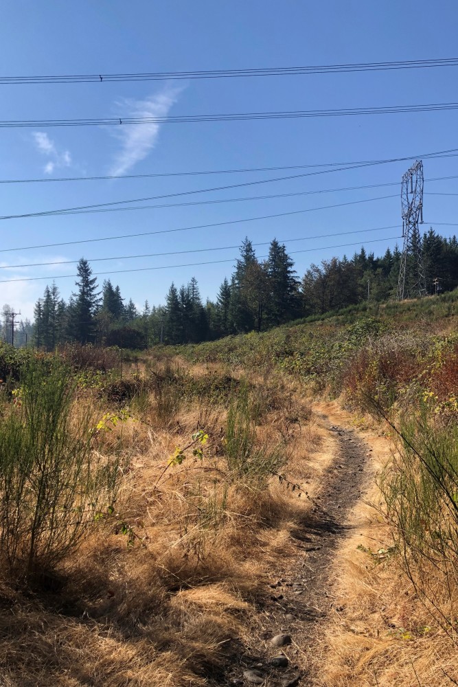 image showing the trail under power lines
