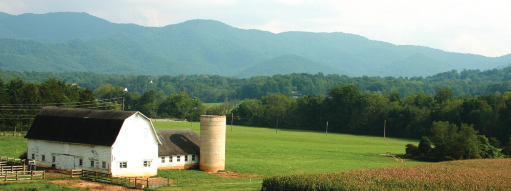 A view of a farm conservation project in Buncombe County.