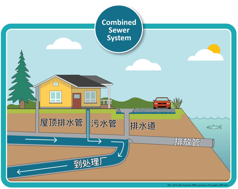旱季的合流下水道系统示意图，显示了一座房屋以及将污水和雨水连接到处理厂的管道