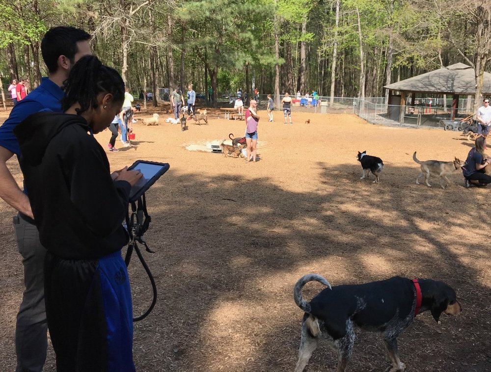 Why Are Dog Parks Good For The Community