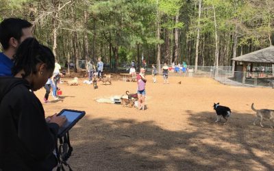 Raleigh Dog Parks: Community Engagement Software Combines Offline and Online Efforts