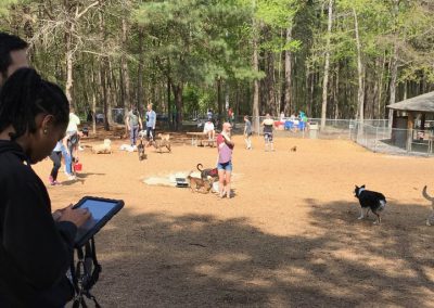 Raleigh Dog Parks: Community Engagement Software Combines Offline and Online Efforts